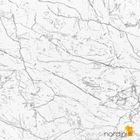 1000 - Copia - Copia